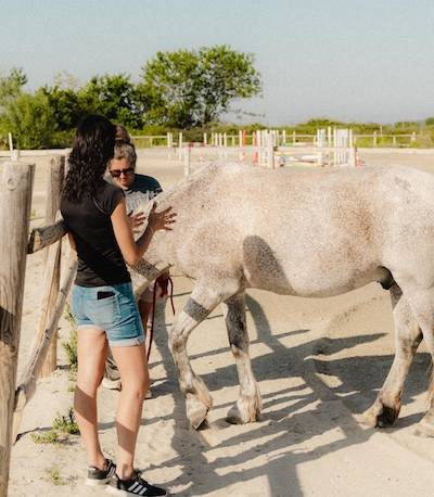 horse-alegra-4